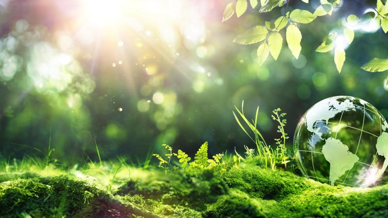 sustainability globe sun grass